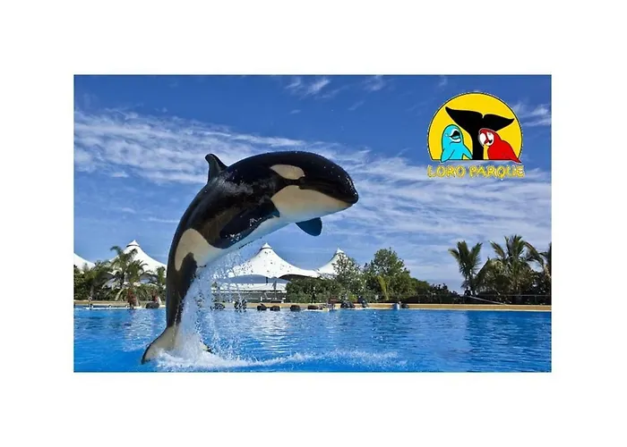 アパート 1bedroom Wifi 500mbs & Pool